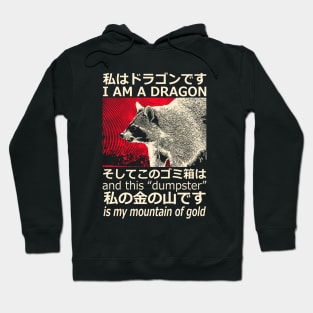 Dragon Raccoon Japanese Hoodie